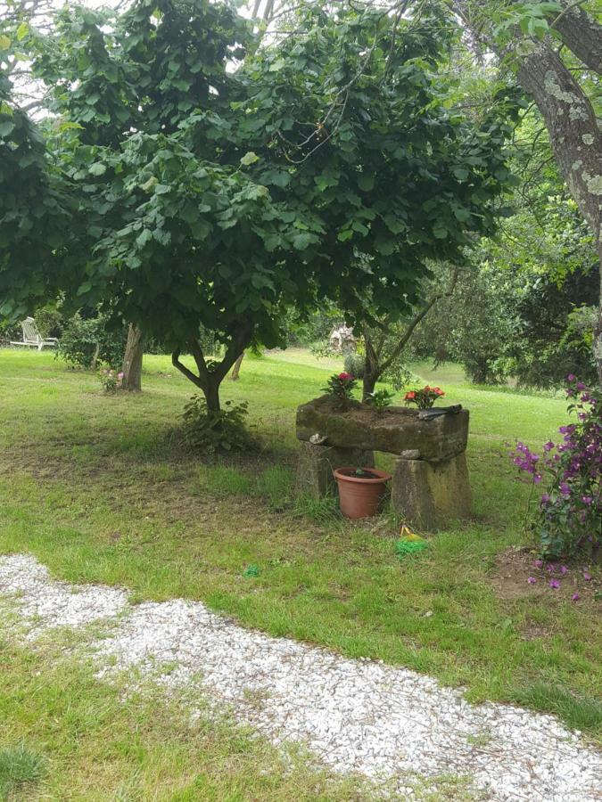 La Casa Della Quercia ξενώνας Lorenzana Εξωτερικό φωτογραφία